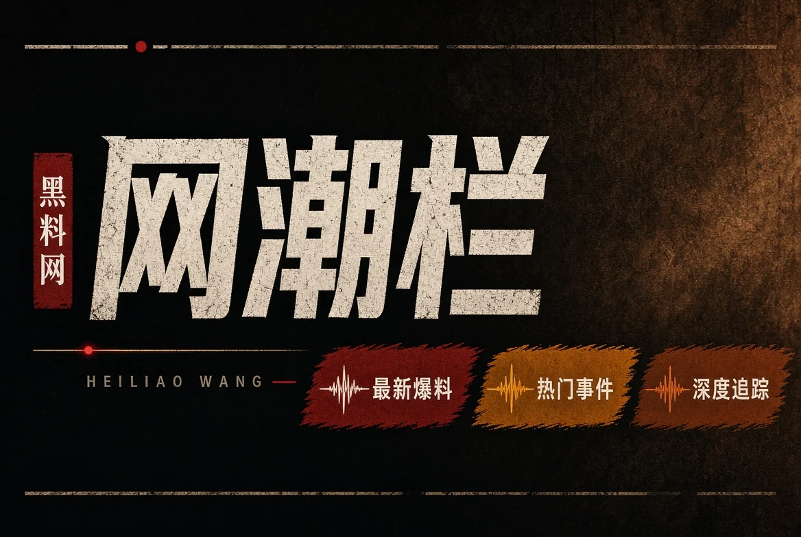 网浪栏公开资讯主题图